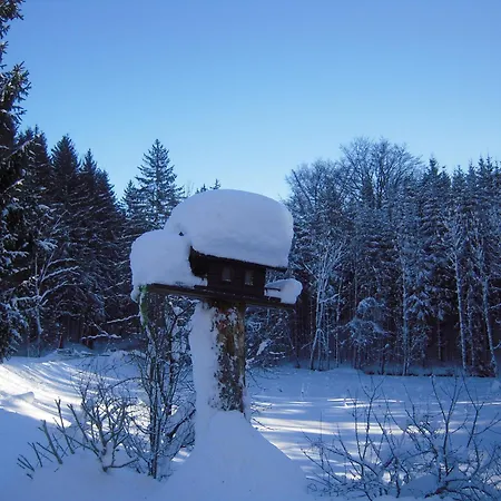 Nocksteinblick ゲストハウス