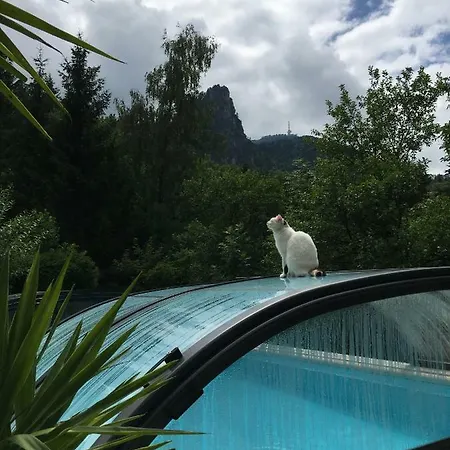 Nocksteinblick Maison d'hôtes 3*